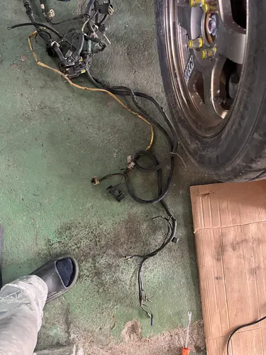床に広げたハーネス